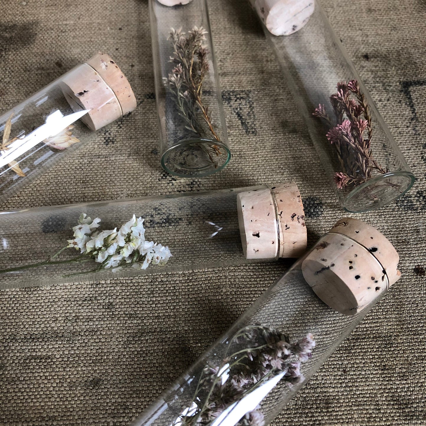 Dried Flower Specimens in Glass Bottles