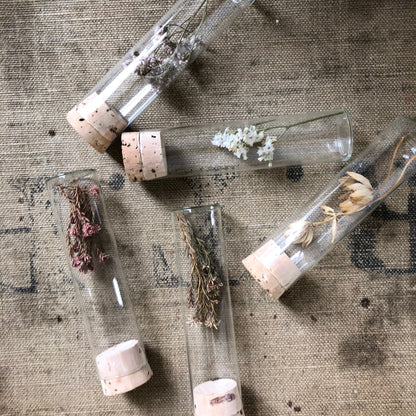 Dried Flower Specimens in Glass Bottles