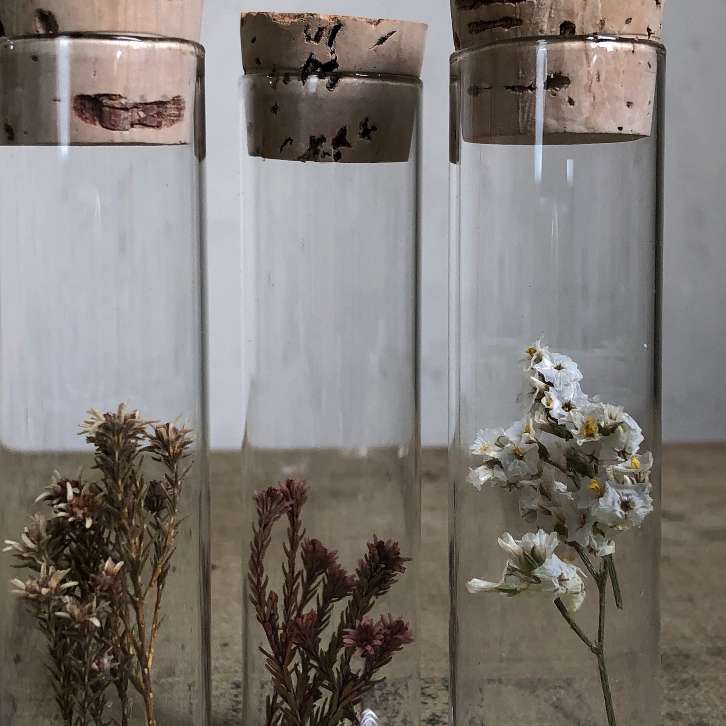 Dried Flower Specimens in Glass Bottles