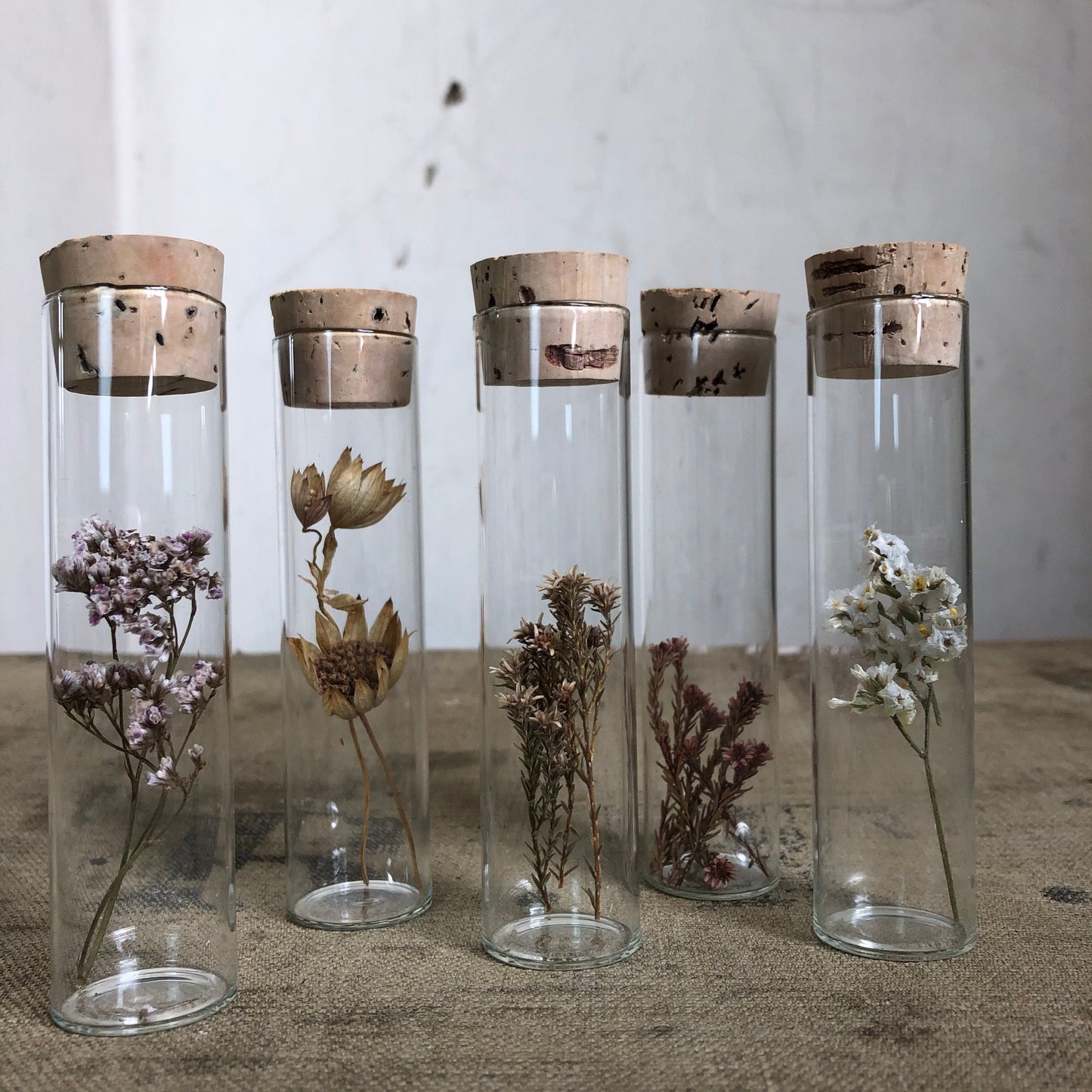 Dried Flower Specimens in Glass Bottles