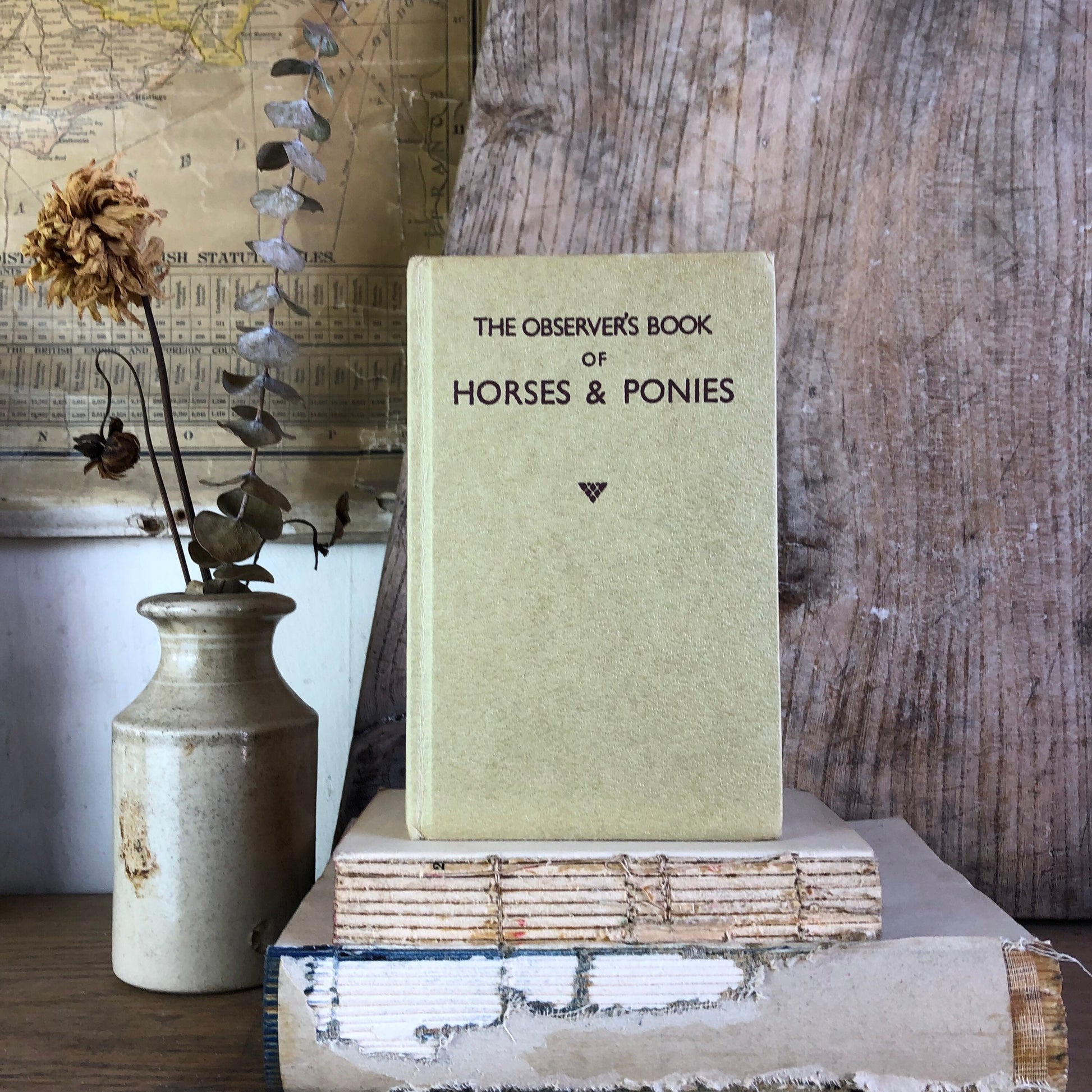 The observer’s book of Horses & Ponies- Light Cover