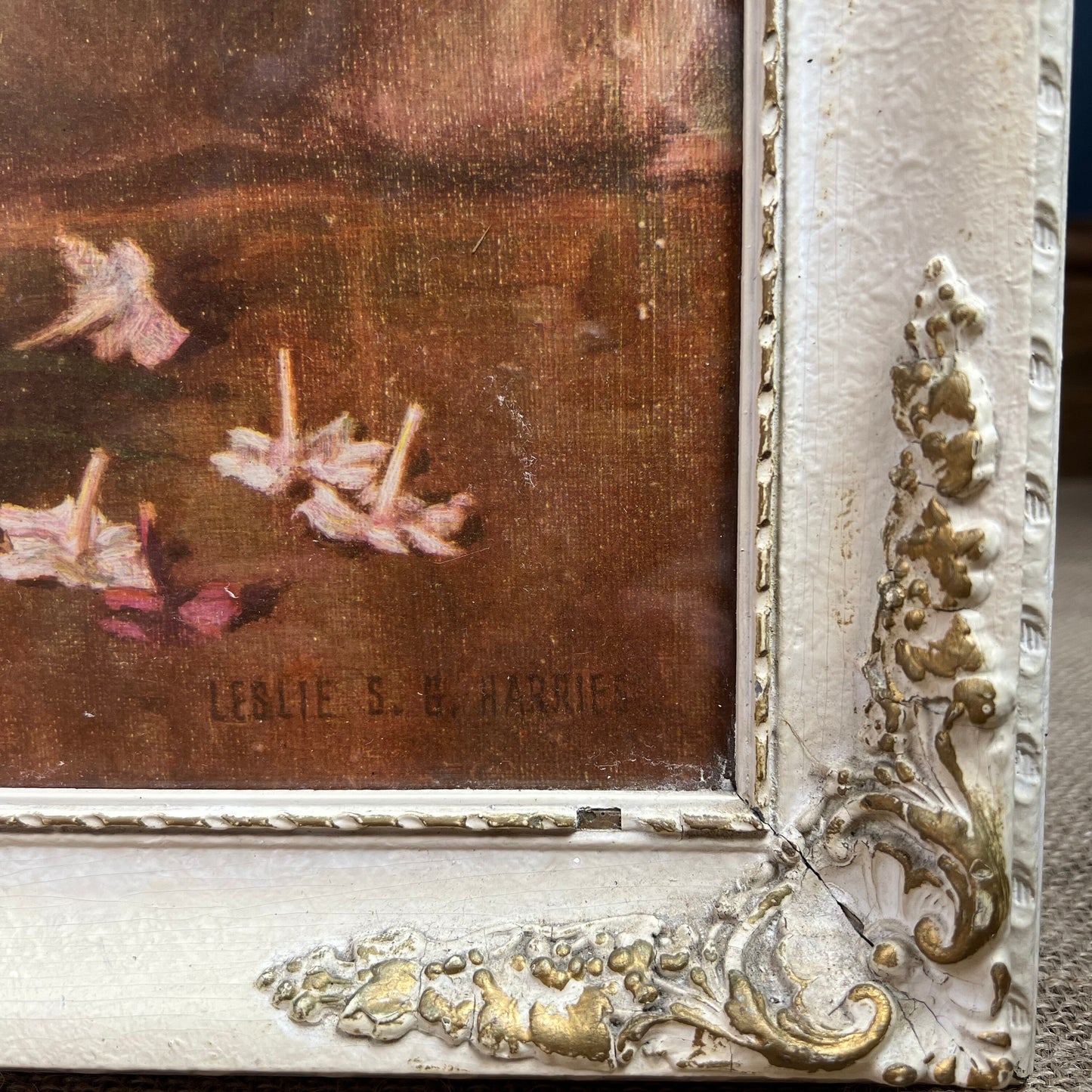 Vintage Still Life Floral, Art Print, Phlox in Gesso Frame by Leslie SG Harries - The Blind Mole