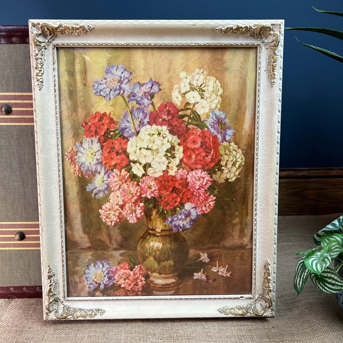 Vintage Still Life Floral, Art Print, Phlox in Gesso Frame by Leslie SG Harries - The Blind Mole