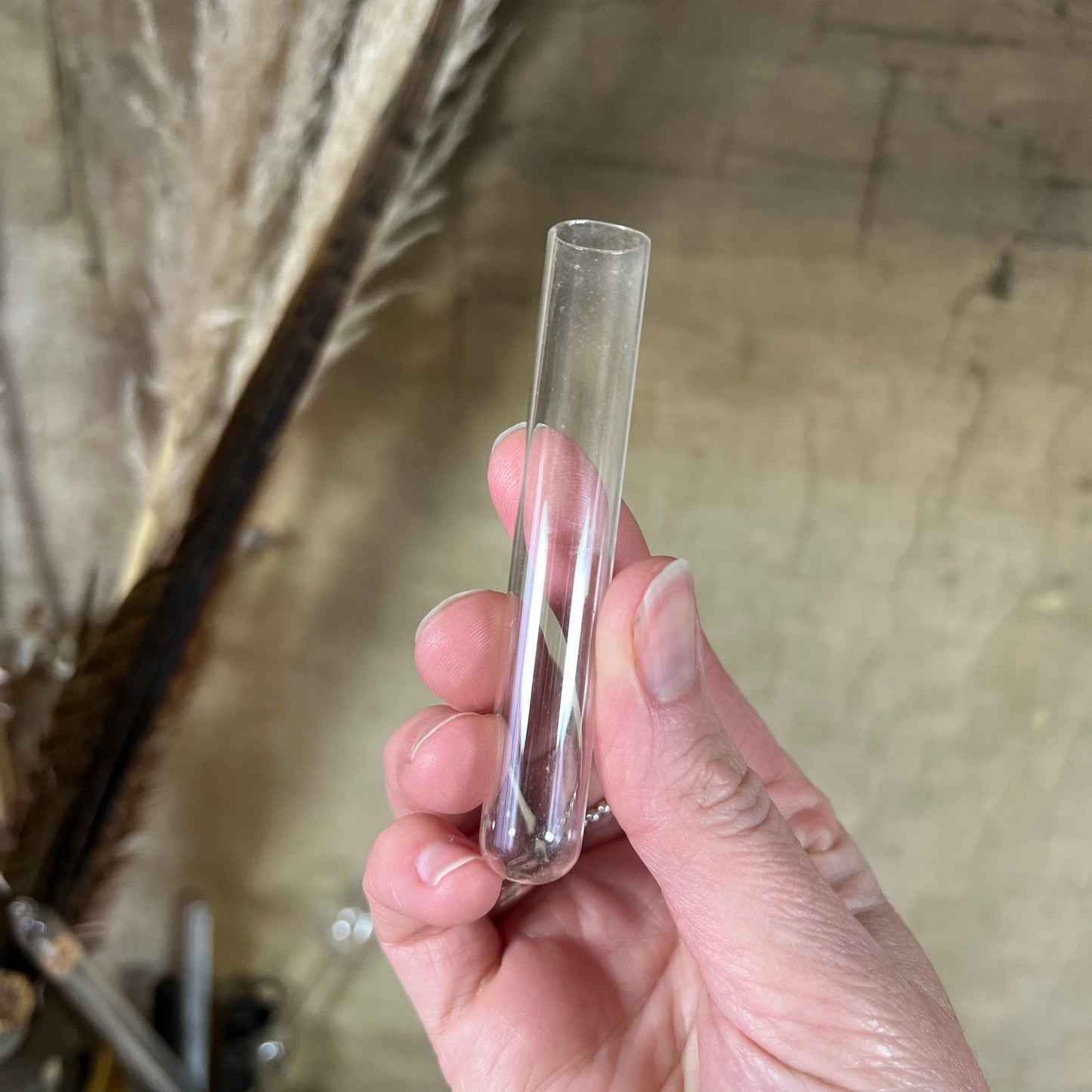 Five Small Glass Test Tubes, Propagating Tubes, Vases