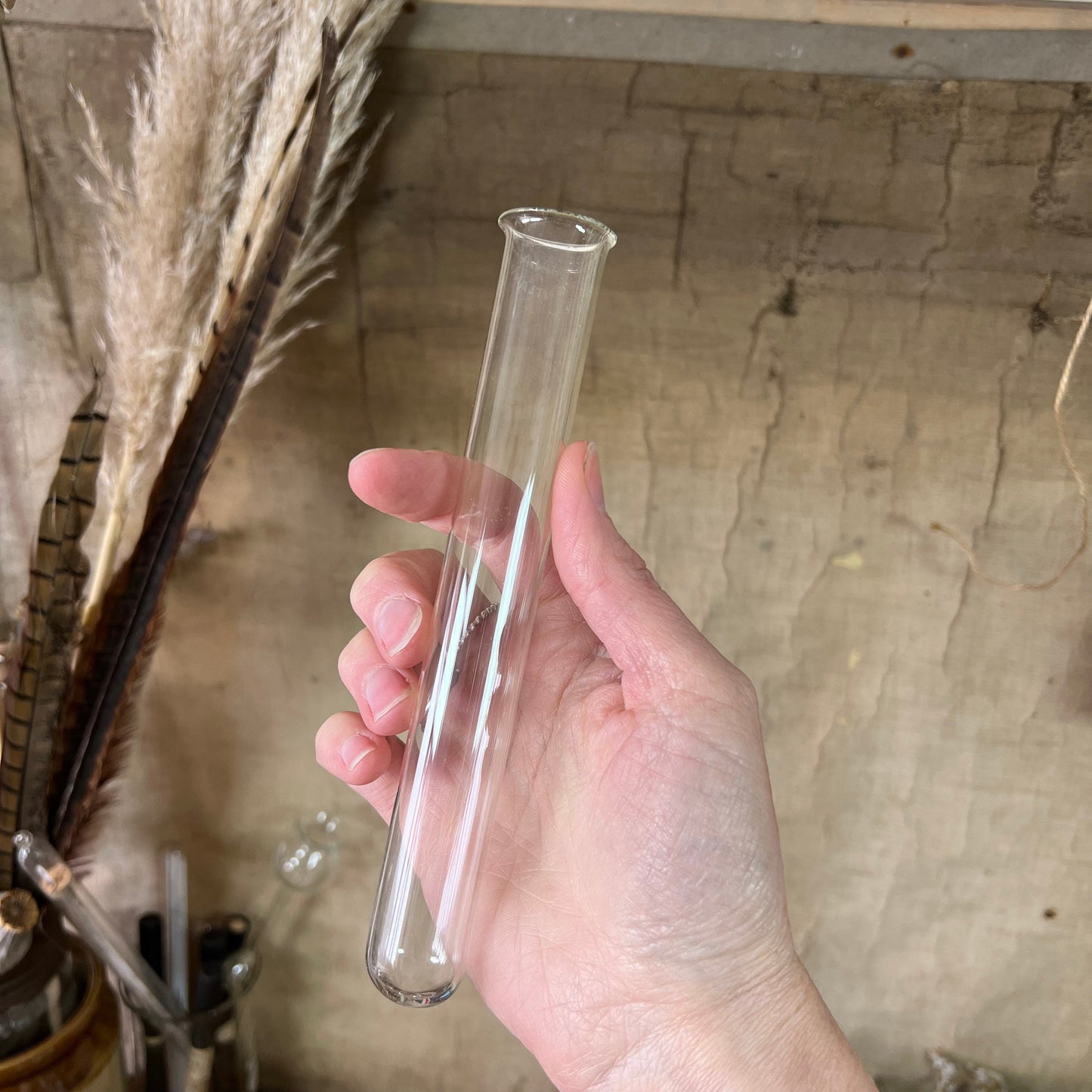 Five Large Glass Test Tubes, Propagating Tubes, Vases