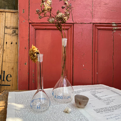 Pair of Vintage Glass Apothecary Bulbus Flask, Propagating