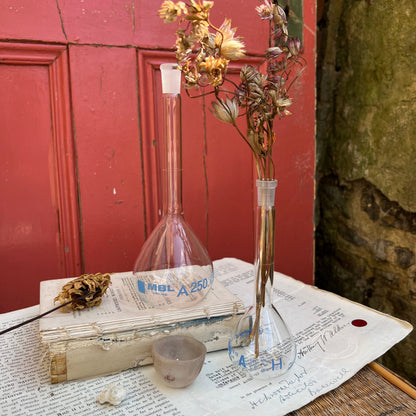 Pair of Vintage Glass Apothecary Bulbus Flask, Propagating