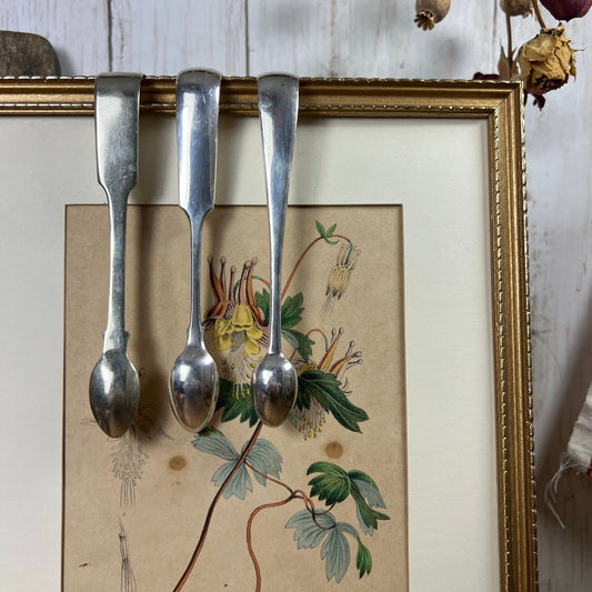 Antique Sugar tongs - Various