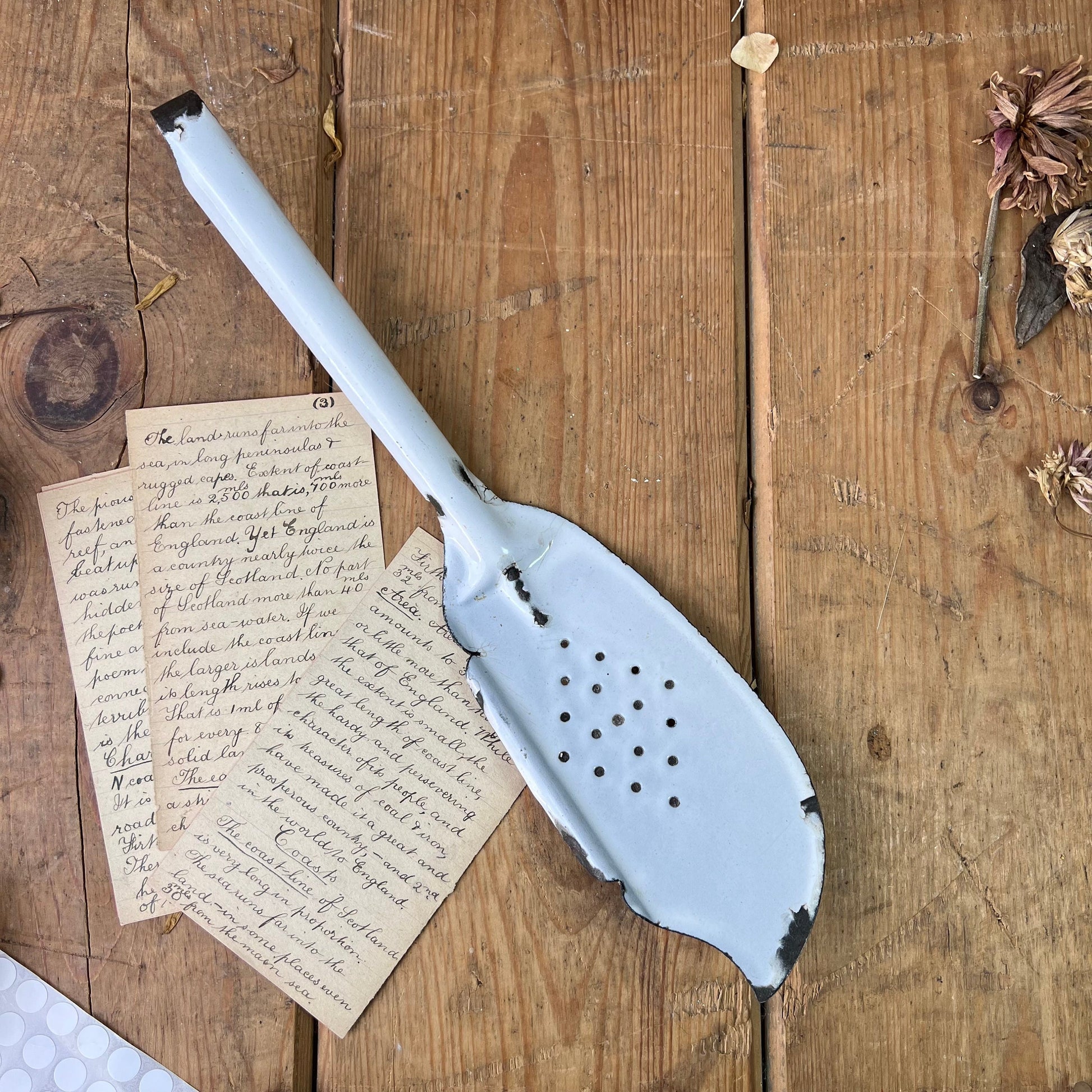 Enamel Vintage Fish Slice