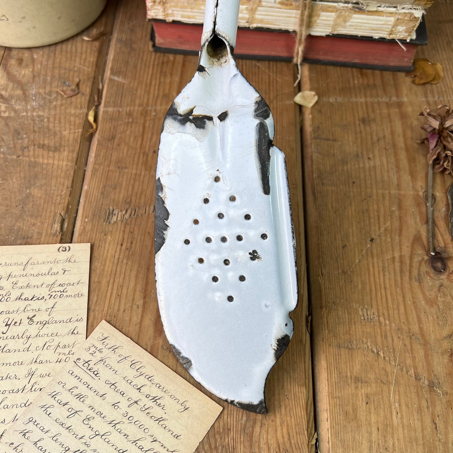 Enamel Vintage Fish Slice