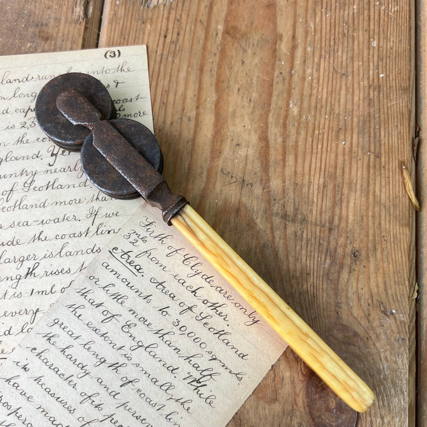 Antique Wheeled Knife Sharpener with Bone Handle