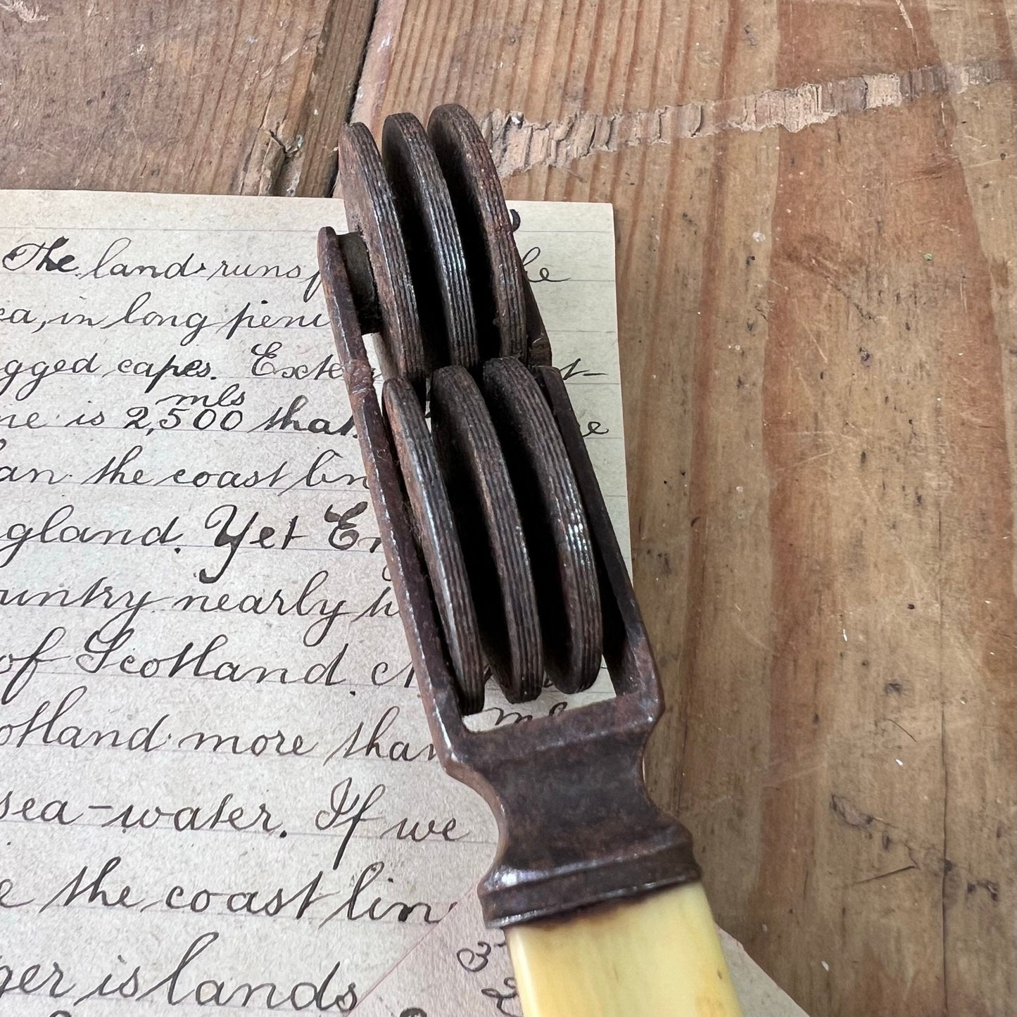 Antique Wheeled Knife Sharpener with Bone Handle