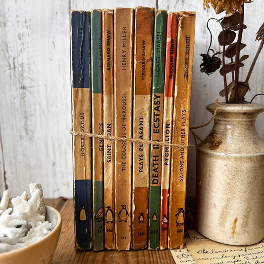 Stack of Vintage Multicoloured Penguin books