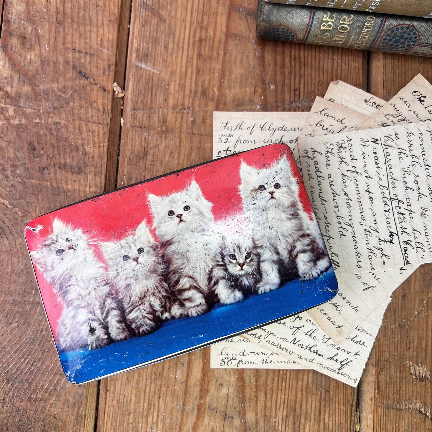 Beautiful Red & Blue Kittens Toffee Tin