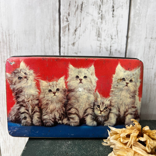 Beautiful Red & Blue Kittens Toffee, Confectionary, Biscuit Tin Keepsake