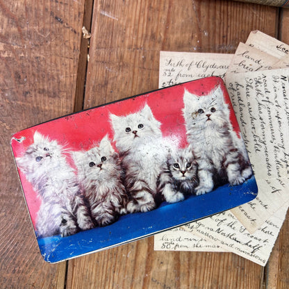 Beautiful Red & Blue Kittens Toffee Tin