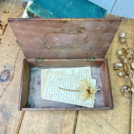 Small Wooden Keepsake, Jewellery, Corontias Cigar Box - The Blind Mole