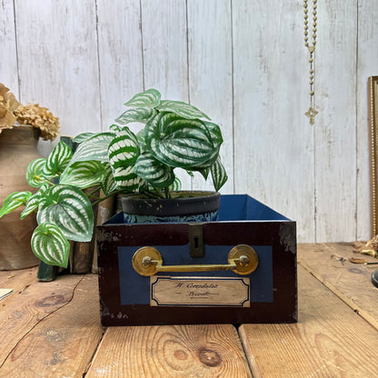 Vintage Metal Draw, Planter