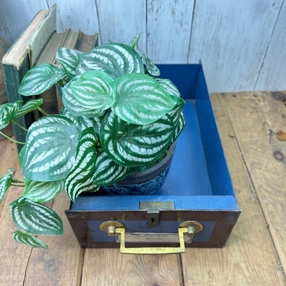 Vintage Metal Draw, Planter