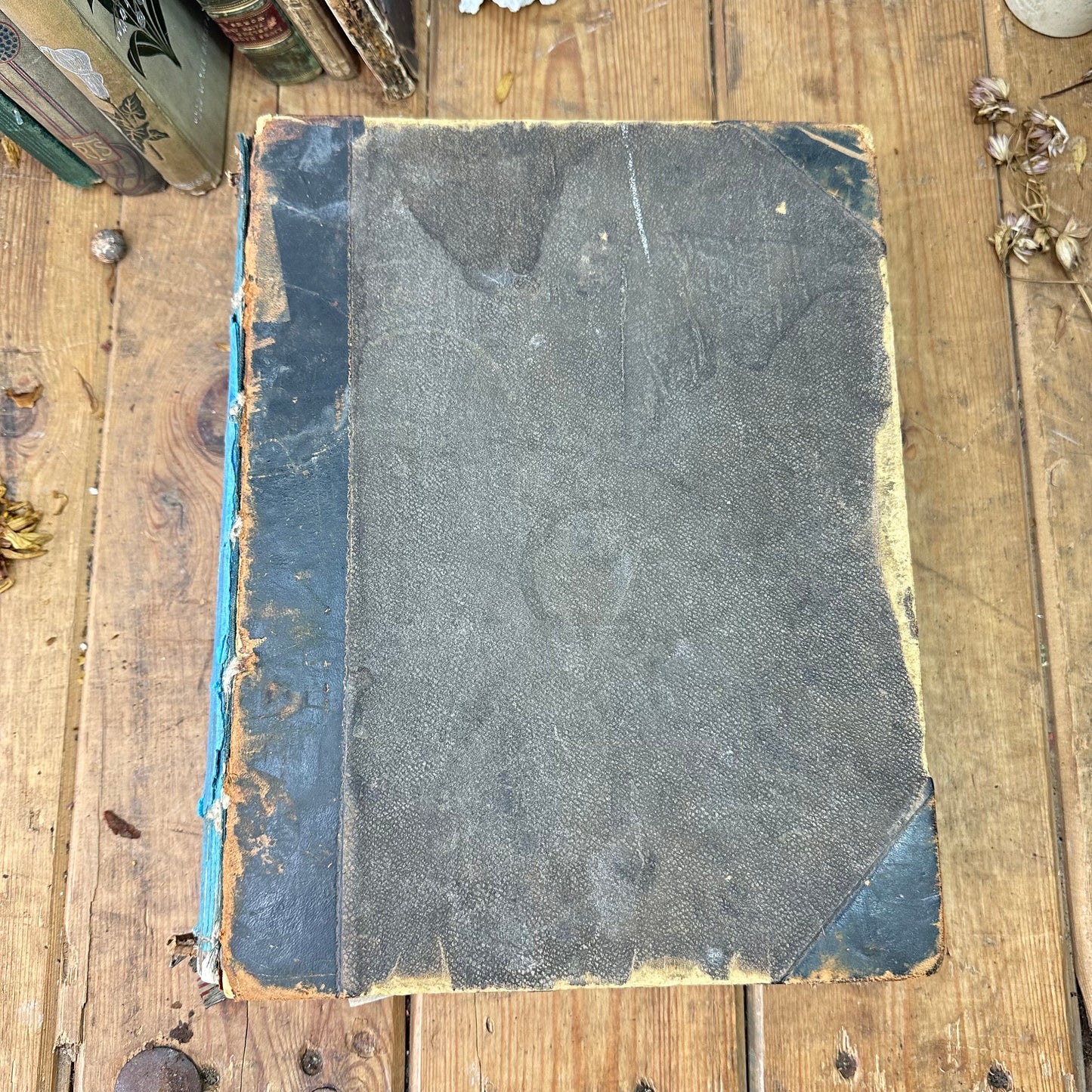 Large Antique Family Bible