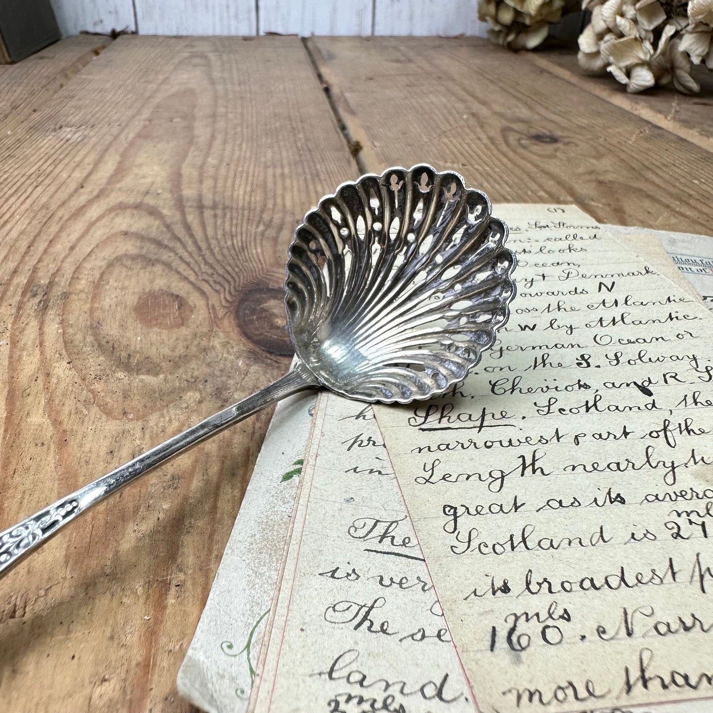 Antique EPNS Victorian Powered Sugar Sifter Spoon