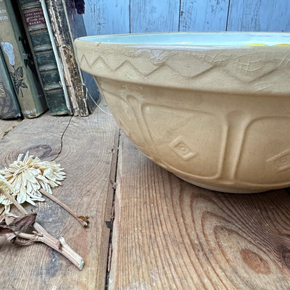 Rustic Stoneware Mixing Bowl Mason & Cash