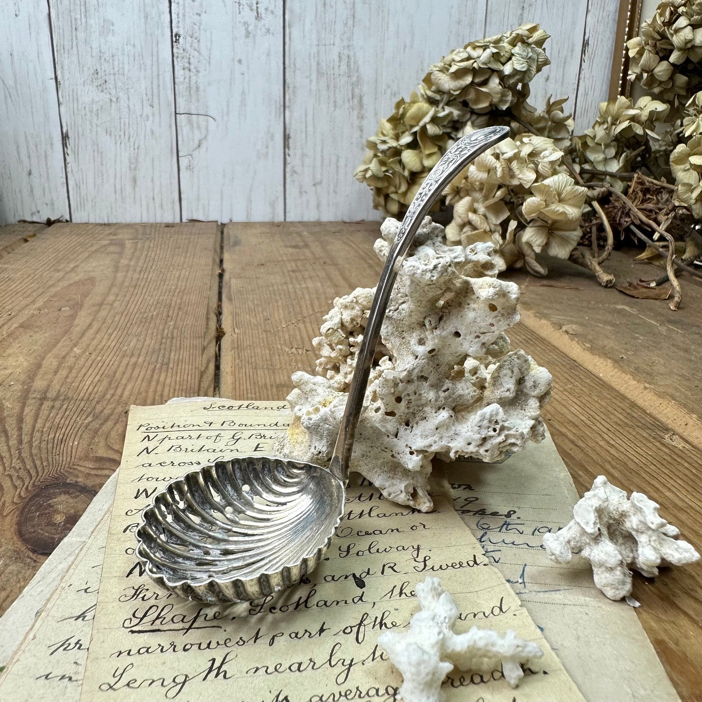 Antique EPNS Victorian Powered Sugar Sifter Spoon