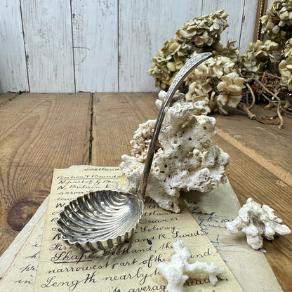 Antique EPNS Victorian Powered Sugar Sifter Spoon