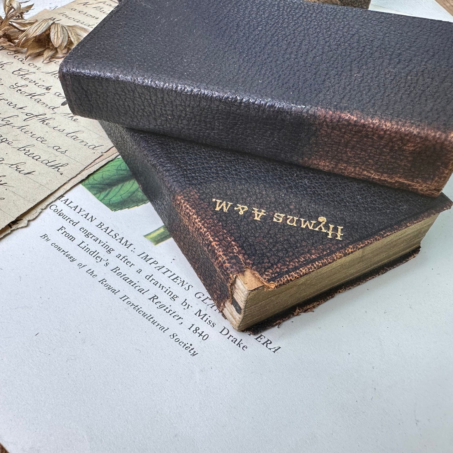 Boxed Leather Bound Hymns and Common Prayer Books