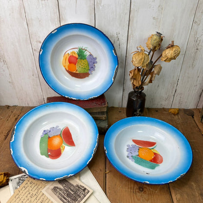 Vintage Blue Enamel Plates Dishes Fruit Design 22cm