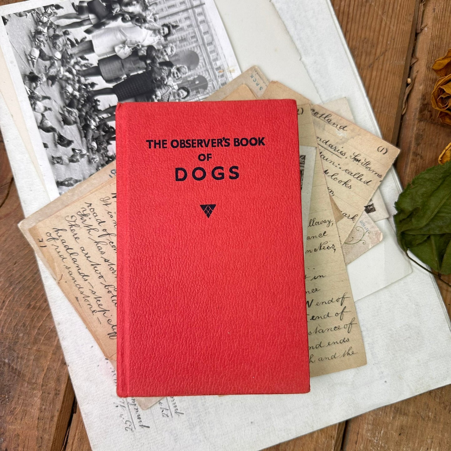 The observer’s book of Dogs