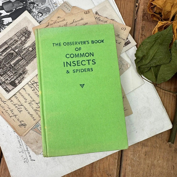 The observer’s book of Common Insects & Spiders – The Blind Mole