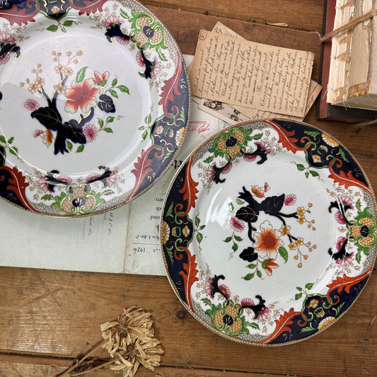 Pair of Vintage Hand painted Victorian Royal Doulton Plates