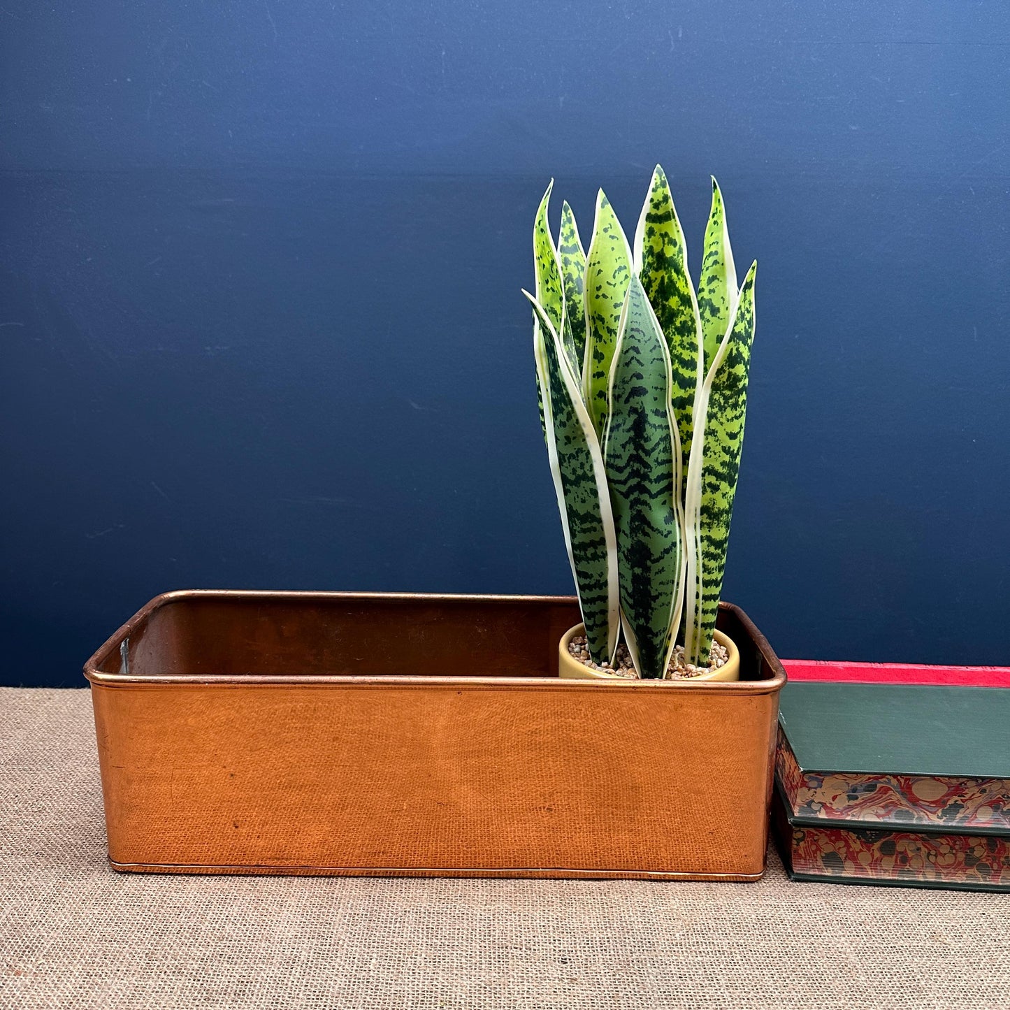 Antique Copper Rectangular Planter