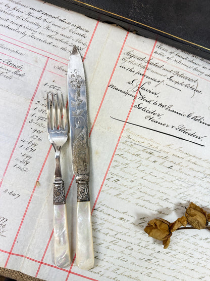 Boxed Ornate Pair of Servers Serving Set Knife & Fork