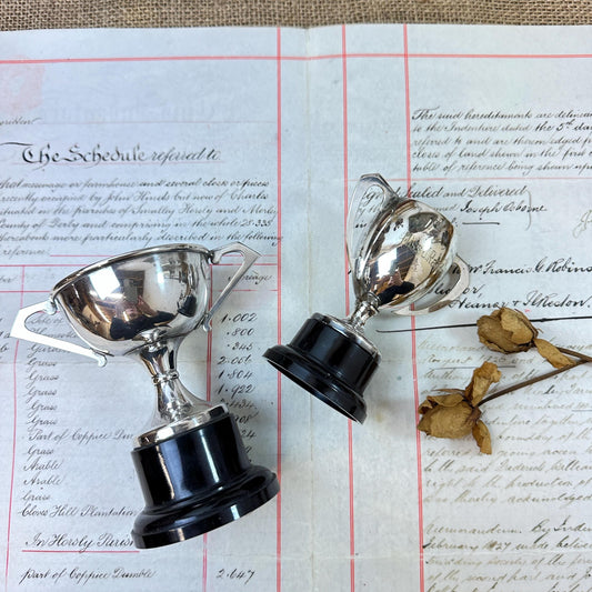 Pair of Small Decorative Trophies / Cups