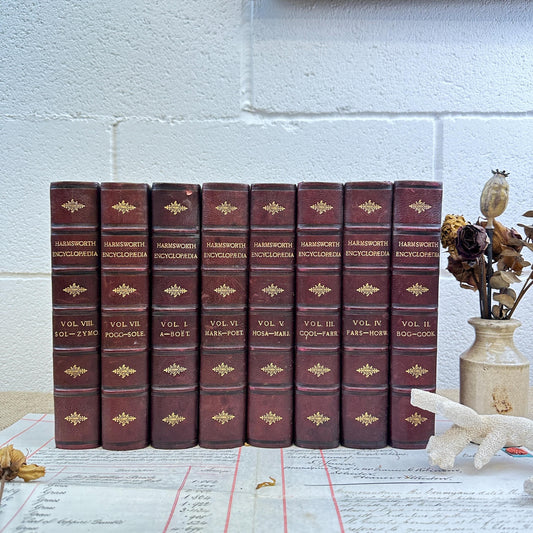 Stack of Vintage Leather Books Harmsworth Encyclopaedias 8 Books Build a bookcase