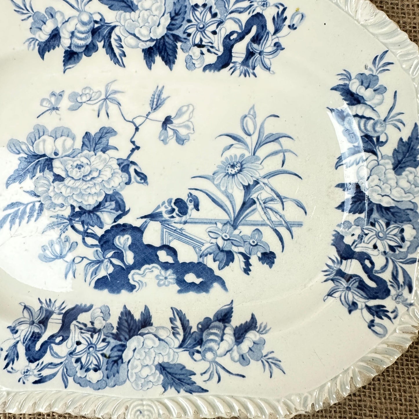 Antique Brameld  - Parroquet Blue & White Transferware Small Serving Platter Swinton Yorkshire