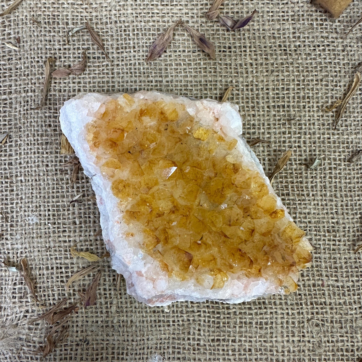 Vintage Yellow Citrine Quartz Crystal Cluster Specimen Curiosity