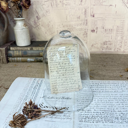 Vintage Clear Glass Bell Dome Display Case Cloche