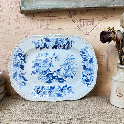 Antique Brameld  - Parroquet Blue & White Transferware Small Serving Platter Swinton Yorkshire