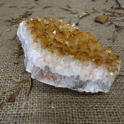 Vintage Yellow Citrine Quartz Crystal Cluster Specimen Curiosity