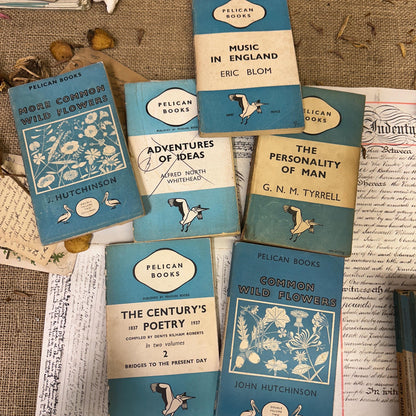 Stack of Vintage Blue Pelican books 2 Available