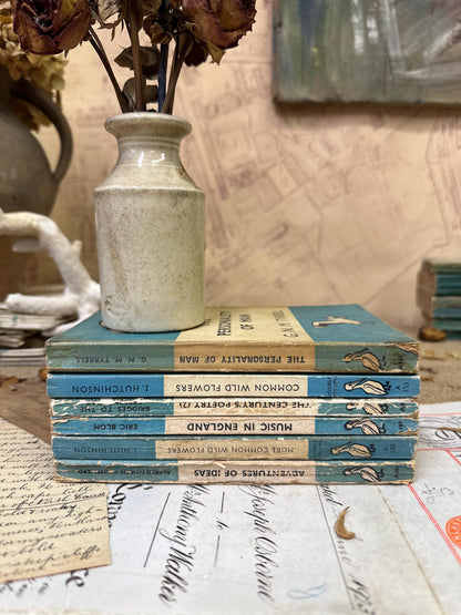 Stack of Vintage Blue Pelican books 2 Available